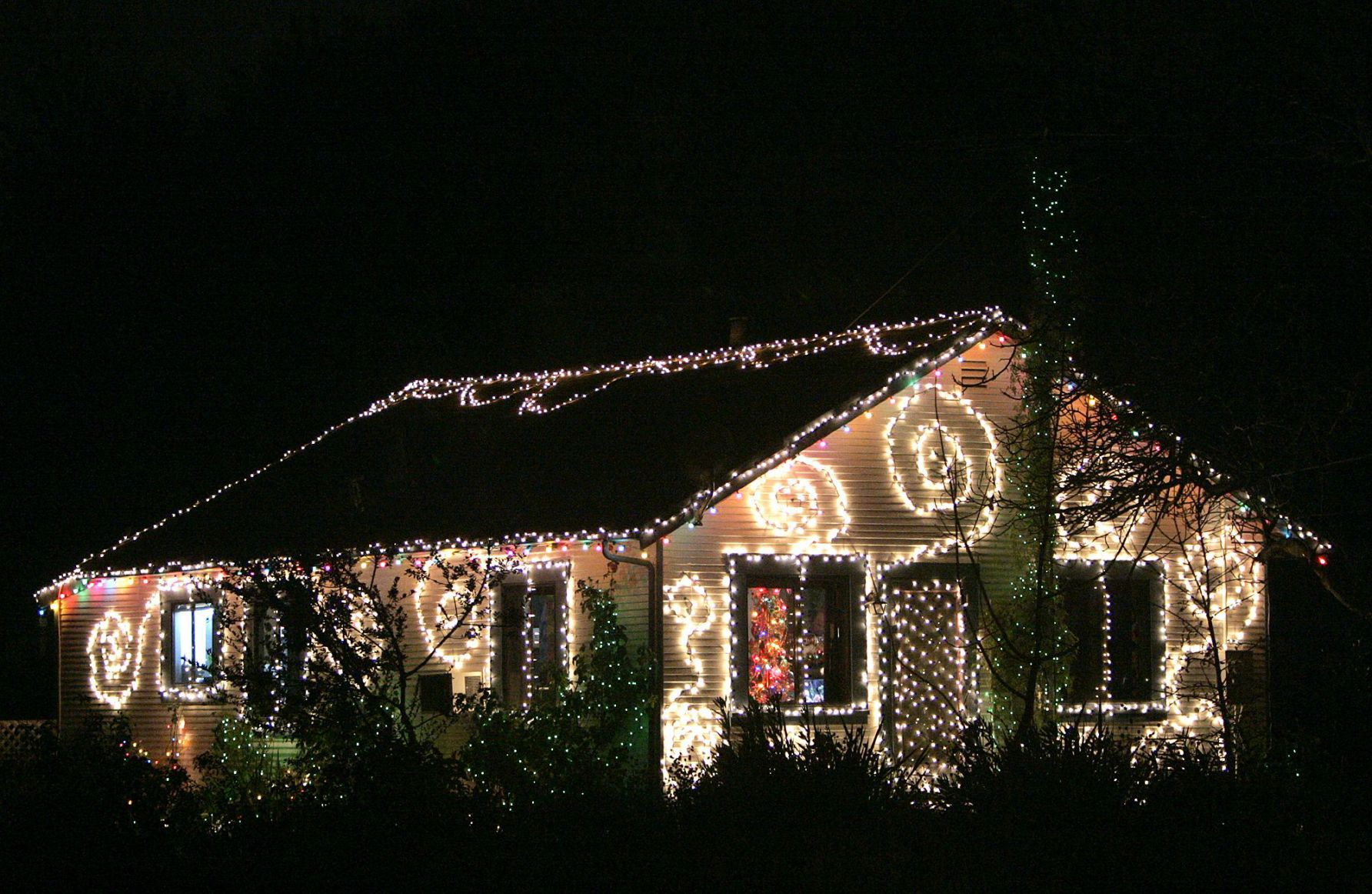 Napa Christmas lights